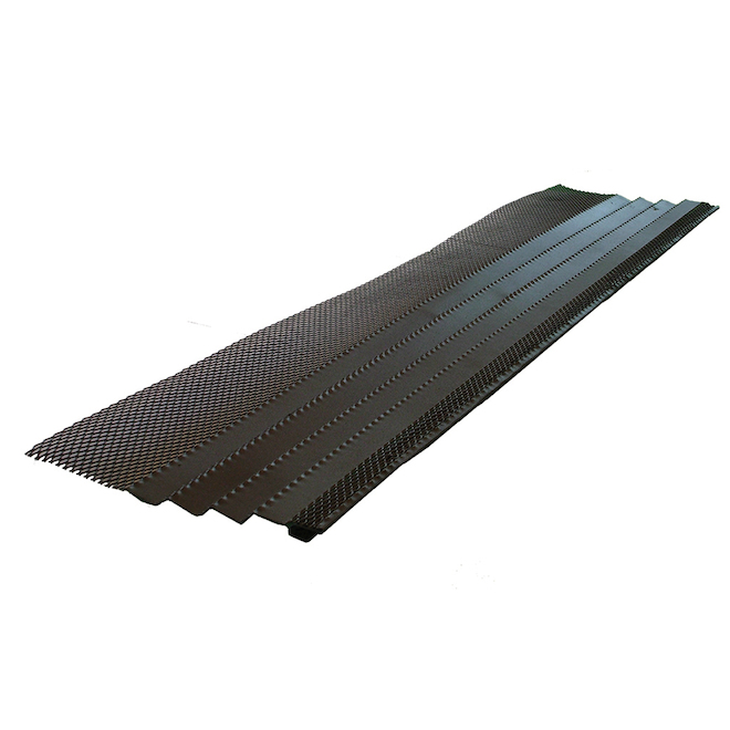 Fascia