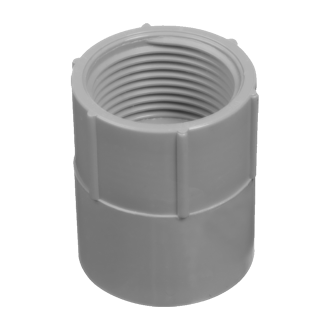 CARLON 2-in Terminal Coupling Schedule 40 PVC Compatible Schedule 80 PVC Compatible Conduit Fitting