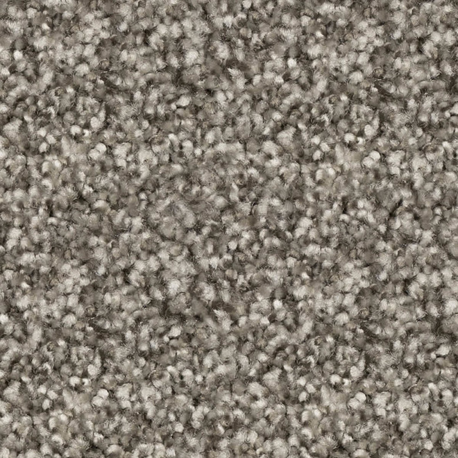 STAINMASTER Loving Presence 12-ft W Castle Doorway Carpet - 1 Linear Foot